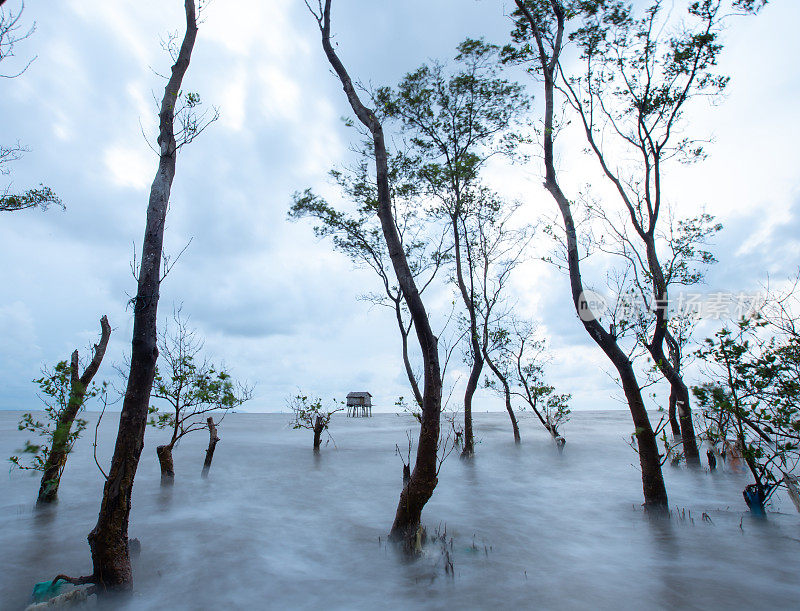 海浪拍打着越南Tan Thanh海滩上的软木树